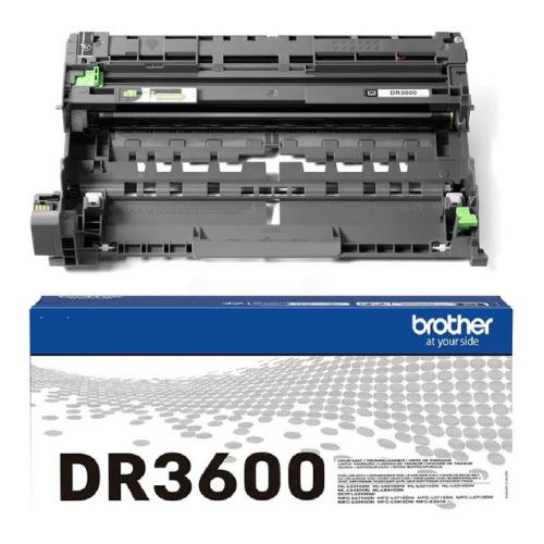 Brother drum (DR3600 /)